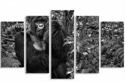 Jungle primate - affiche animaux