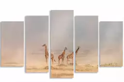 Girafes dans la savane - affiche animaux