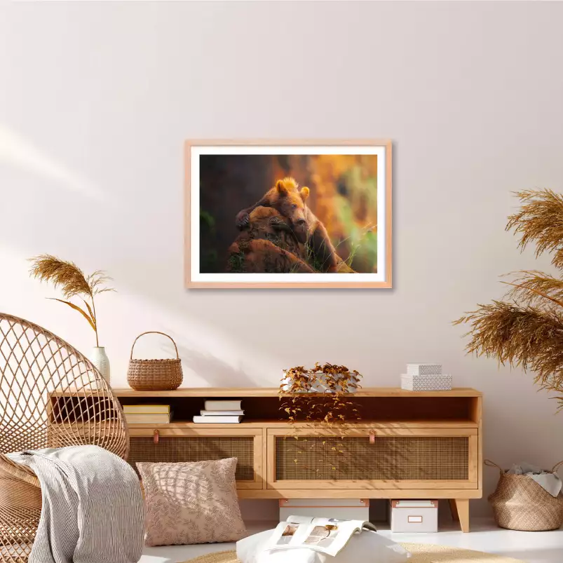 Portrait d'ours - affiche animaux