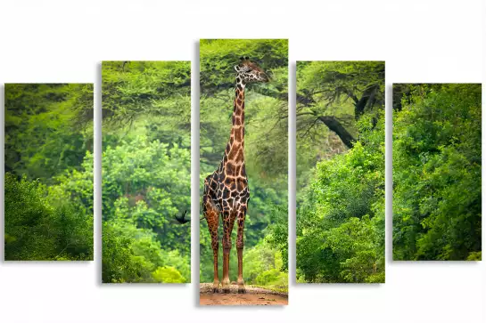 Girafe inattendue - affiche animaux