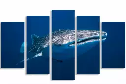 Requin baleine - tableau animaux marins