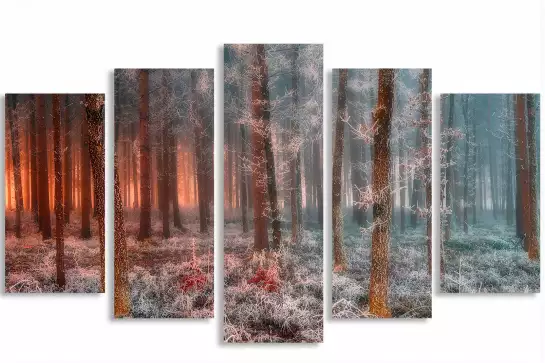 De glace et de feu - tableau foret