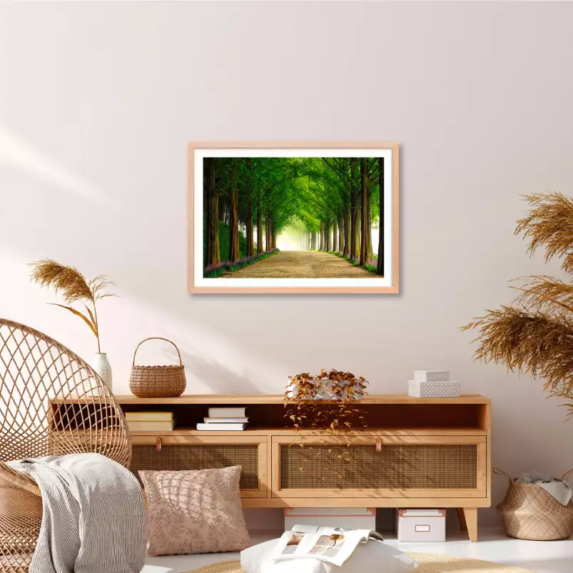 Metasequoia - tableau foret