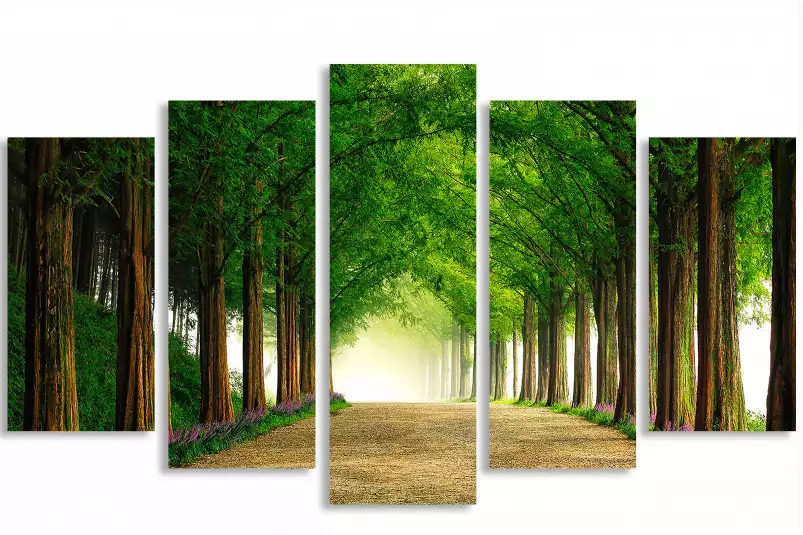 Metasequoia - tableau foret