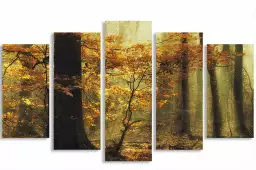 Feuilles - tableau foret