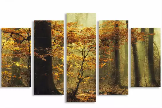 Feuilles - tableau foret