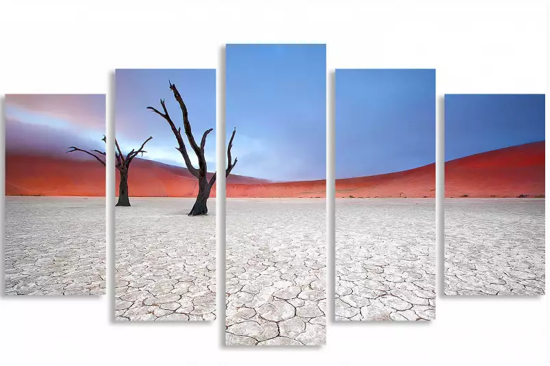 Namibie, le deadvlei - tableau paysage desert