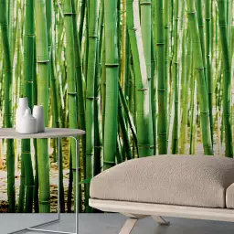 Les bambous - tapisserie panoramique jungle