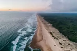 Les landes vue du ciel - affiche sud ouest