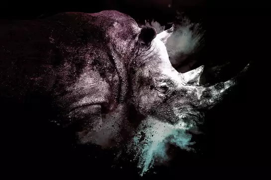 Wild explosion rhino- portrait animaux
