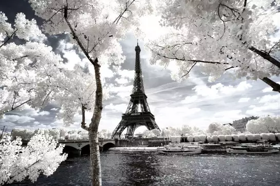 Tour Eiffel blanche - tableau paris