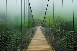 Pont suspendu foret - tableau paysage nature