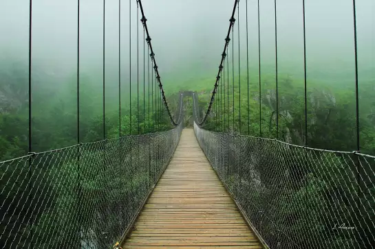 Pont suspendu foret - tableau paysage nature