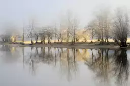 Une journée de janvier - paysage hiver