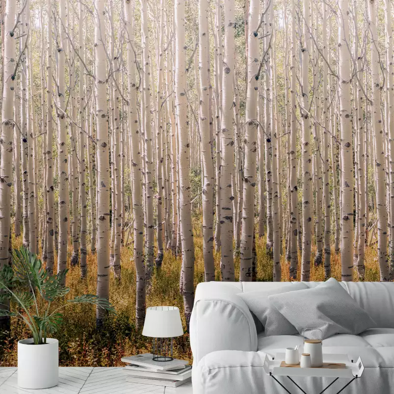 Forêt de bouleaux - tapisserie panoramique