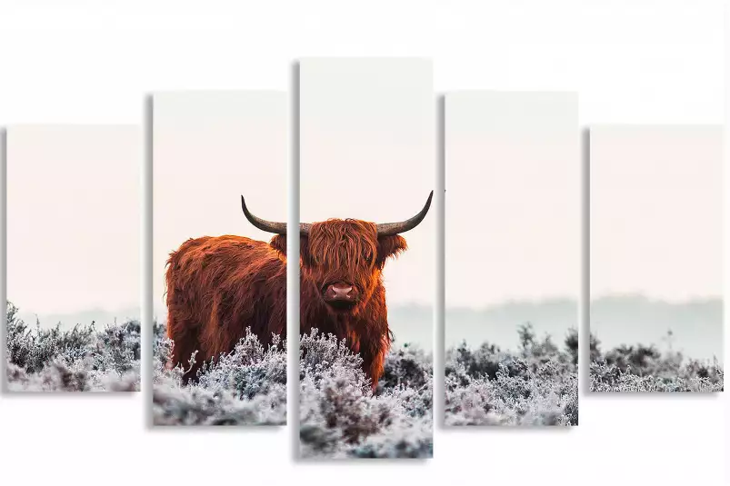 Vache highland sous la neige - affiche animaux