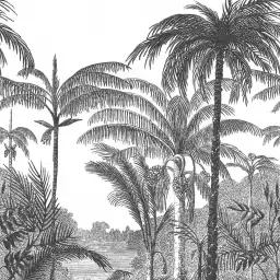 Cocotier - tapisserie panoramique palmier