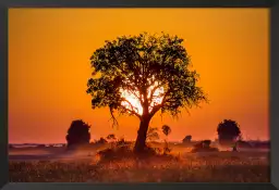 La savane - poster paysage