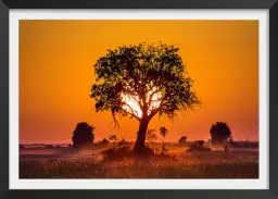 La savane - poster paysage