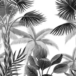 Palmae noir et blanc - tapisserie panoramique palmier