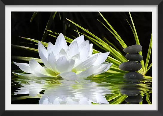 Fleur de lotus et galets - poster zen