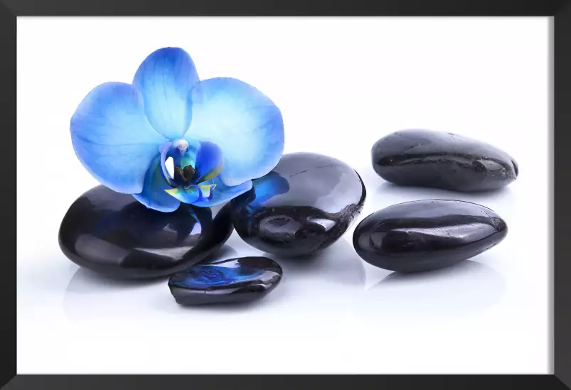 Orchidee bleue sur galets - tableau zen