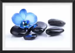 Orchidee bleue sur galets - tableau zen