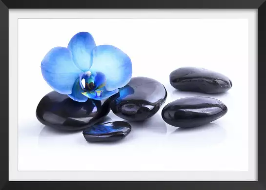 Orchidee bleue sur galets - tableau zen