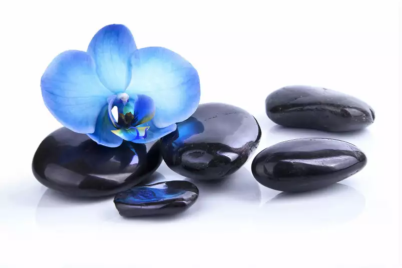 Orchidee bleue sur galets - tableau zen