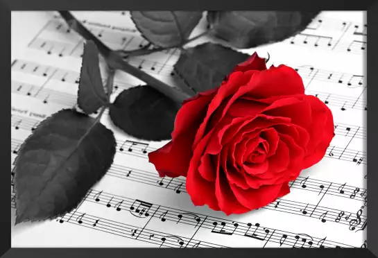 Rose et partitions musicales - affiche romantique