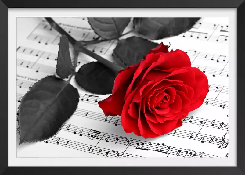 Rose et partitions musicales - affiche romantique