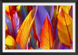 Palm leaves yellow background - tableau plante