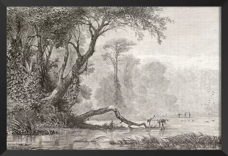 Gravure les bords du fleuve - tableau jungle