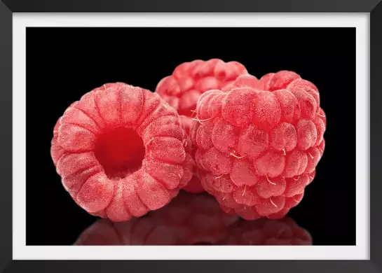 Framboises - affiche fruits