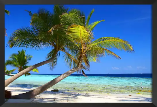 Bleu île paradisiaque - affiches palmiers