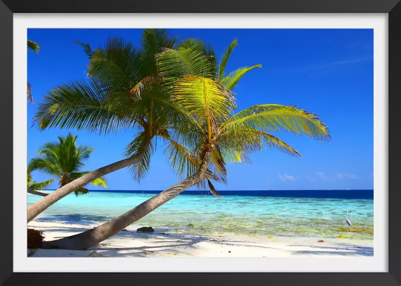 Bleu île paradisiaque - affiches palmiers