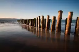 Cap ferret - affiche sud ouest