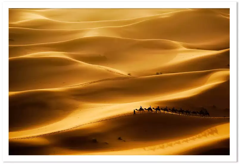 Le desert des nomades - poster paysage