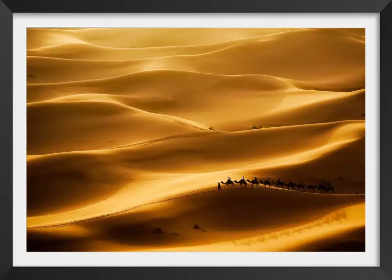 Le desert des nomades - poster paysage