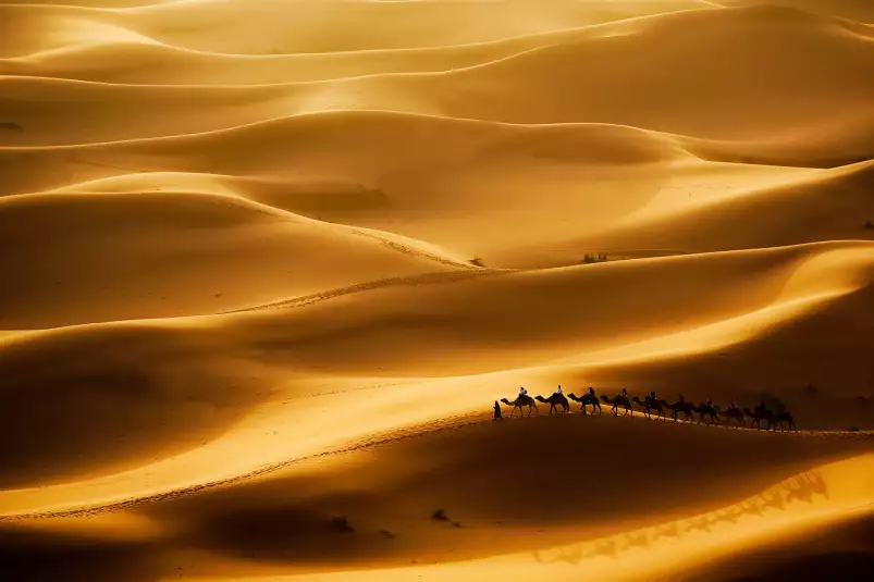 Le desert des nomades - poster paysage