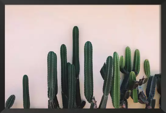 Mur de cactus - tableau cactus