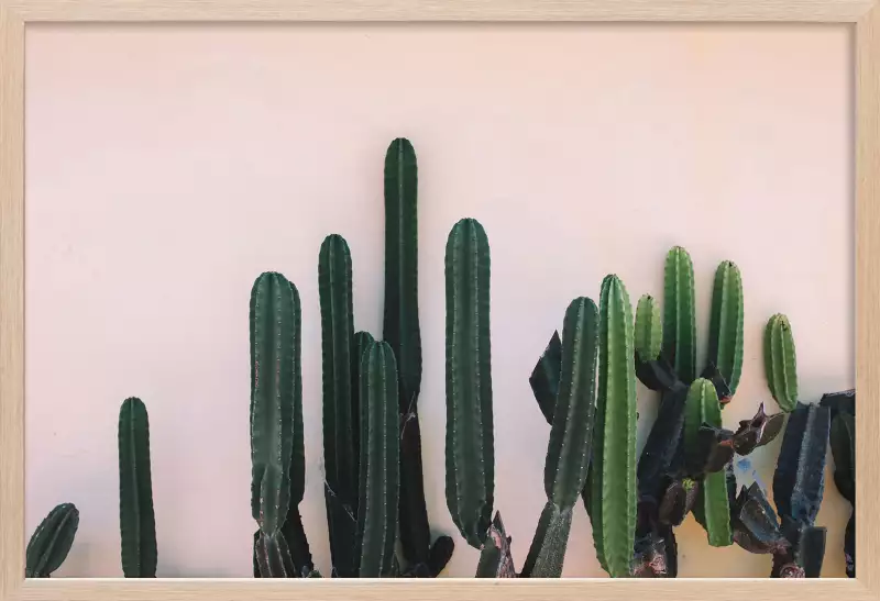Mur de cactus│ Poster fleurs│ Cadre deco
