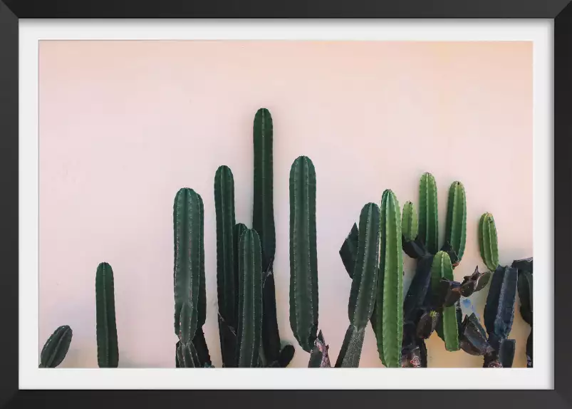 Mur de cactus - tableau cactus