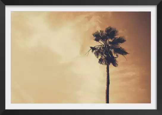 Palmier désert - poster palmiers