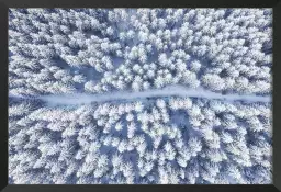 Bleue de neige blanche - affiche foret