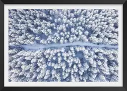 Bleue de neige blanche - affiche foret