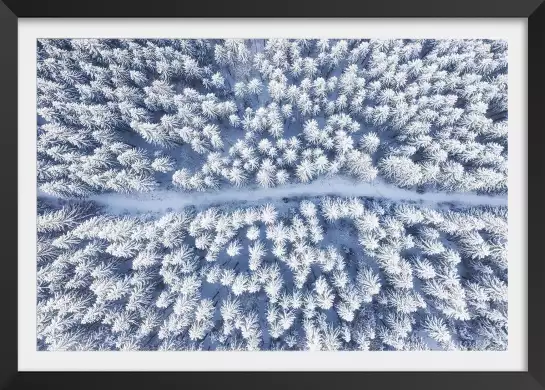 Bleue de neige blanche - affiche foret