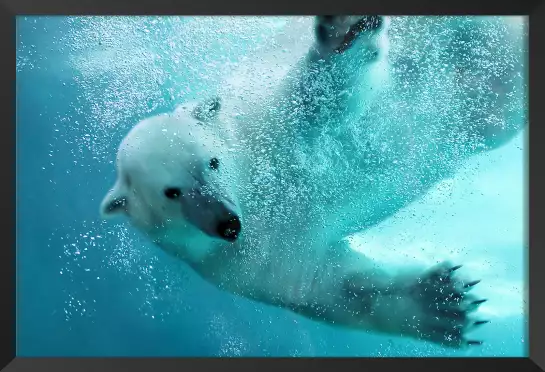 Ours blanc en plein plongeon - tableau animaux