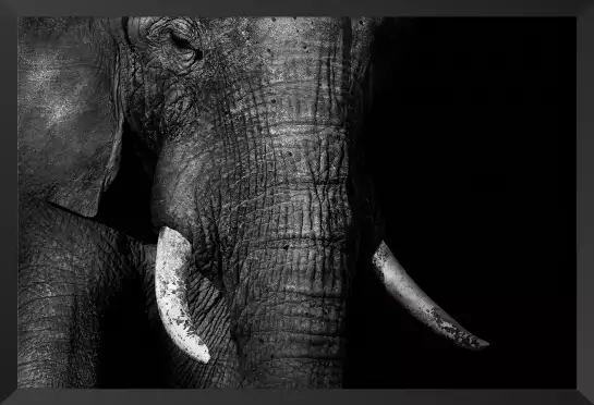 Elephant africana - tableau elephant