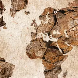 Carte du monde Couleur bois  - tableau pas cher